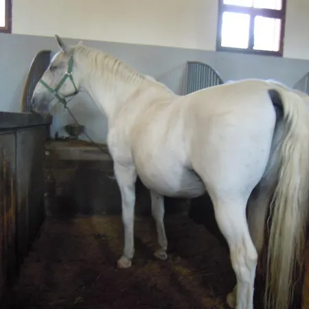 Vakantiehuis Emerald Beauty