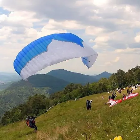 Emerald Beauty Nova Gorica